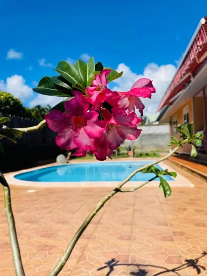 Tahiti - Fare Vairai Pool Villa Faaa Holiday home